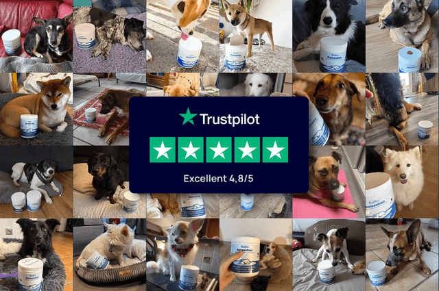 Plus de 50 000 vies améliorées grâce à Balto -