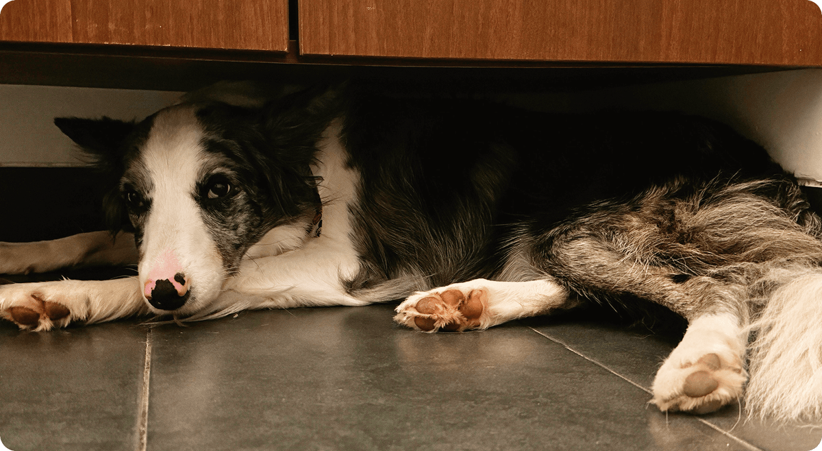 Martina story image 1