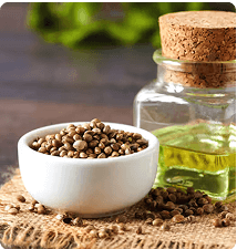 Huile de graines de chanvre